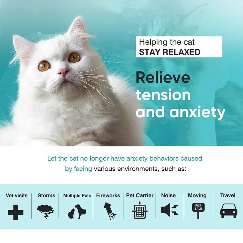 Calming Pet Collar – For Stress & Anxiety Relief