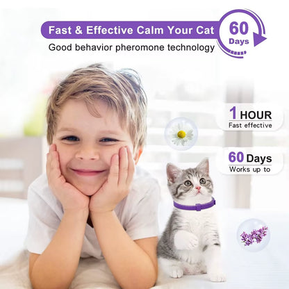 Calming Cat Collars Breakaway Cat Calm Collar Lavender Scent Relaxing Cat Collar for Puppy Dogs Reduce Stress Aggression Anxious