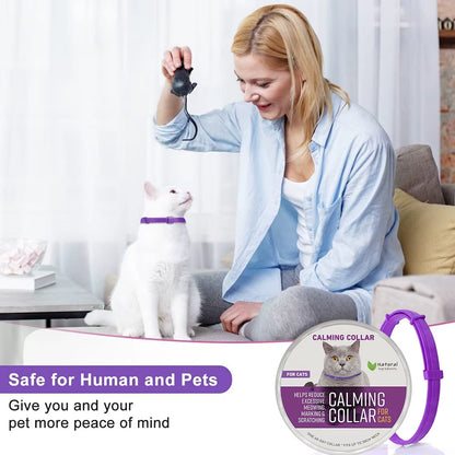 Calming Cat Collars Breakaway Cat Calm Collar Lavender Scent Relaxing Cat Collar for Puppy Dogs Reduce Stress Aggression Anxious