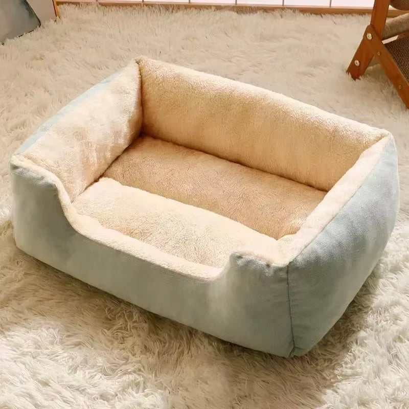 Bed for Cats Pet Products Cushions Kitten Goods Accessories Dog All Houses Supplies Things Accessory Habitats Basket House Beds